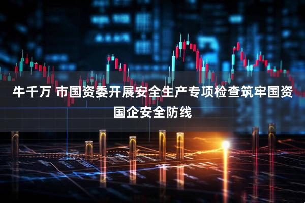 牛千万 市国资委开展安全生产专项检查筑牢国资国企安全防线