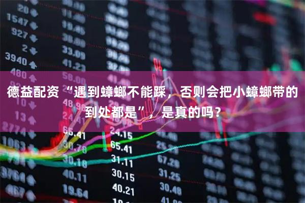 德益配资 “遇到蟑螂不能踩，否则会把小蟑螂带的到处都是”，是真的吗？
